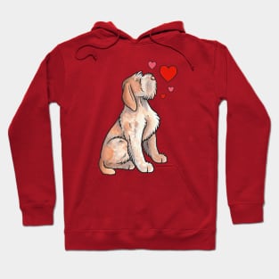 Italian Spinone love Hoodie